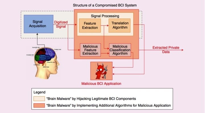 bci-800x440