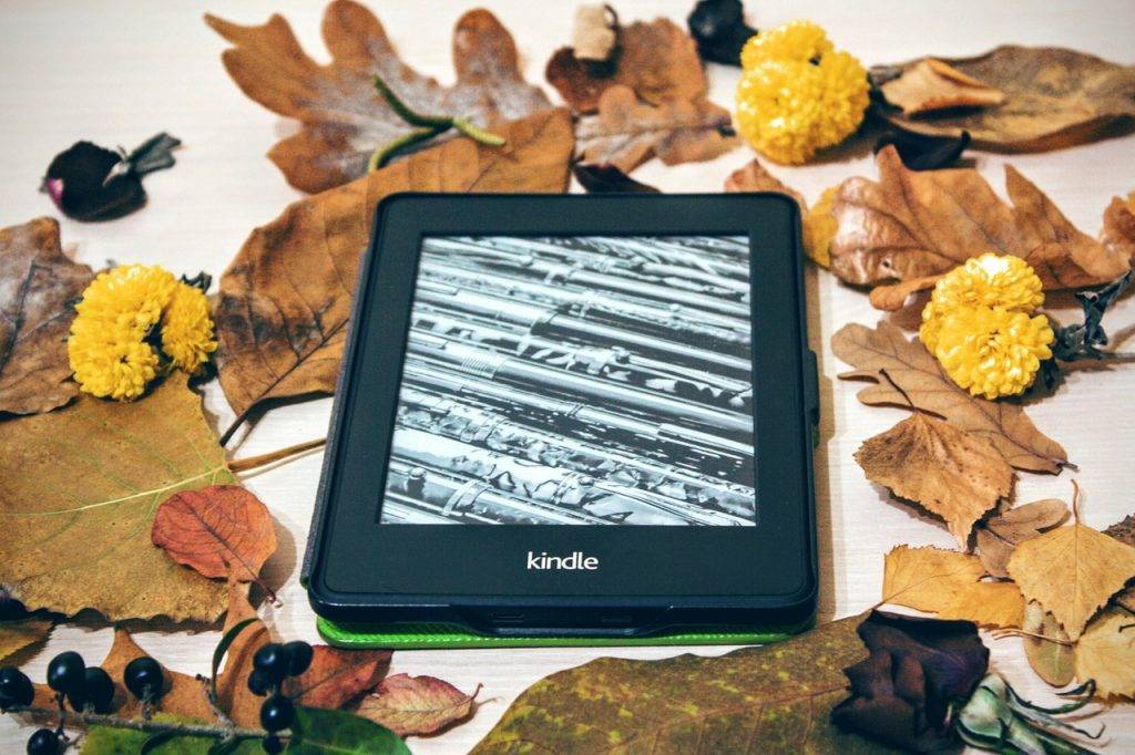 不只是你的kindle 在家接灰 电子书整体销量下降不少 爱范儿