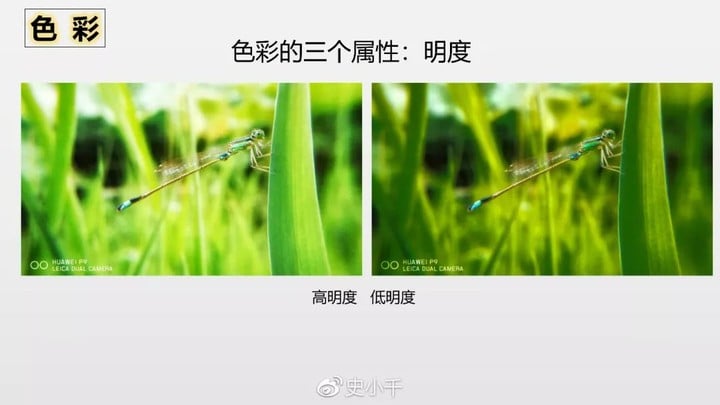 后期调色“源”理揭秘及snapseed八大案例精析