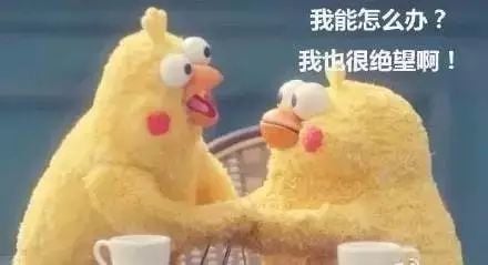 有史以來最強的 5G 入門科普！