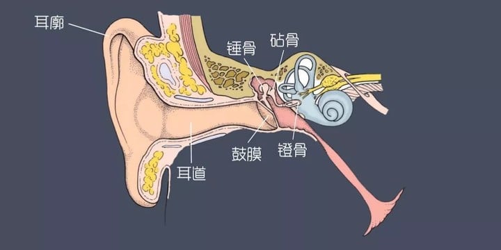 完全音频发烧指南：揭露 4 大玄学真相