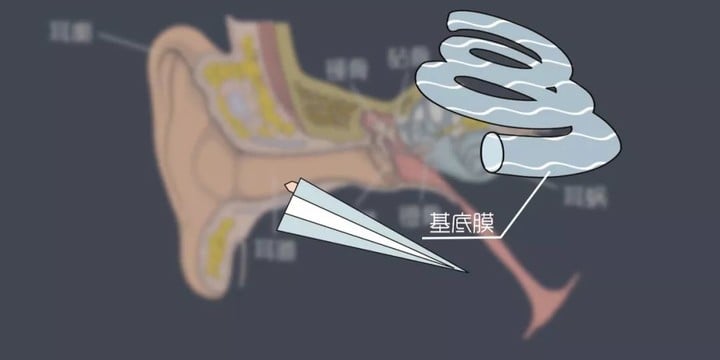 完全音频发烧指南：揭露 4 大玄学真相