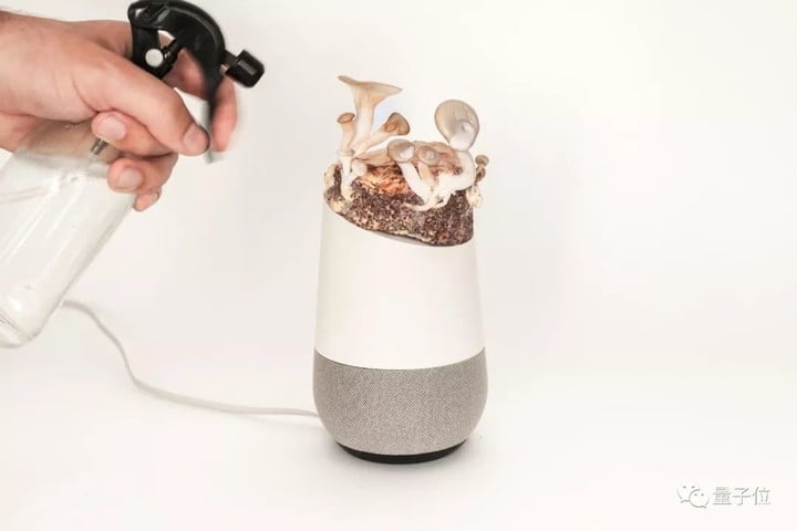 给智能音箱种上这个“蘑菇”，你就能防止它偷听啦 | 附DIY教程