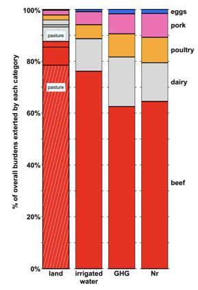 你吃的什么东西？人造肉，一种比尔·盖茨都觉得好吃的肉