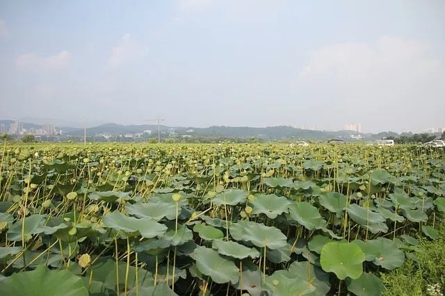 斜杠农民的日常：今天下田，明天上天丨深度