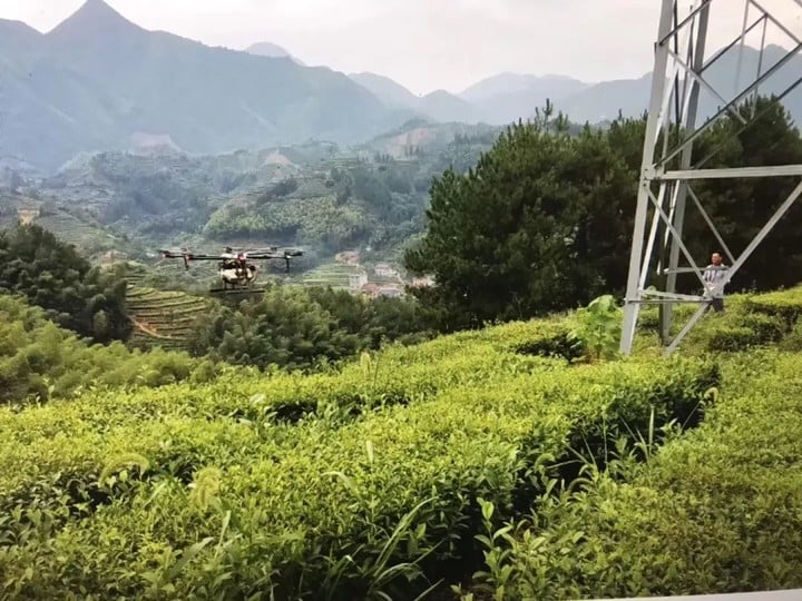 斜杠农民的日常：今天下田，明天上天丨深度