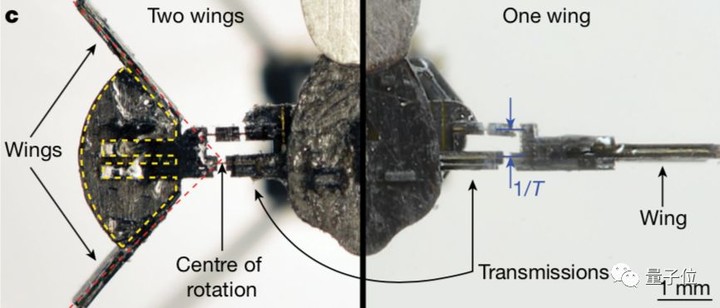 史上最轻无人机登上Nature封面：比回形针还轻，自带太阳能系统，实现无缆飞行