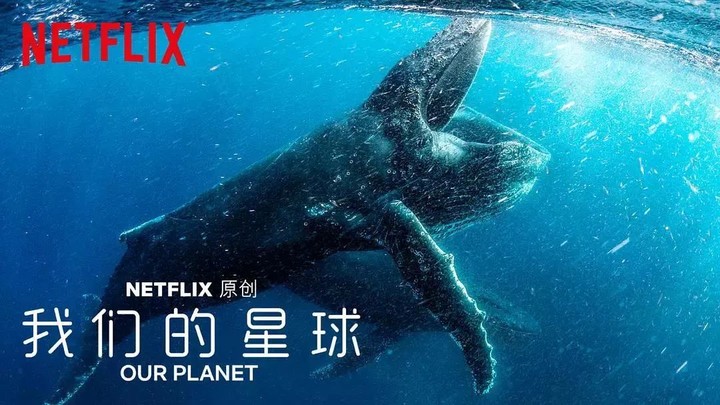 奈飞20年:一个好莱坞亲手培养的行业公敌 | Cover计划 奈飞20年:一个好莱坞亲手培养的行业公敌 | Cover计划