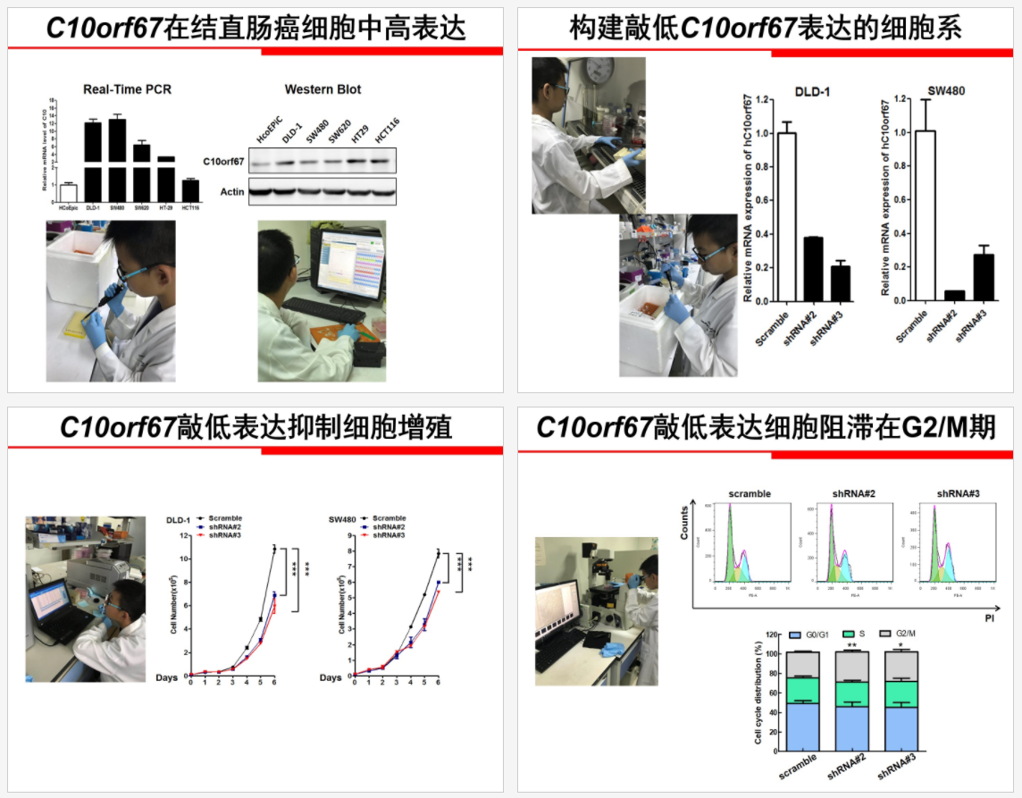 研究肿瘤的小学生们 背后都有个焦虑的家长 爱范儿