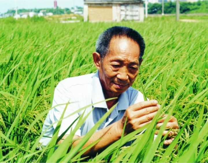 袁隆平让你来种地