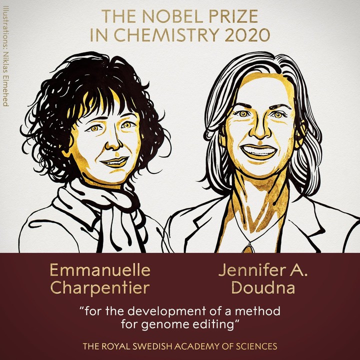 「基因剪刀」发明者获得诺贝尔化学奖，华裔科学家张锋无缘该奖项