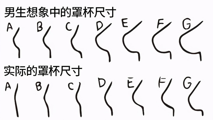 a和b罩杯区别图图片