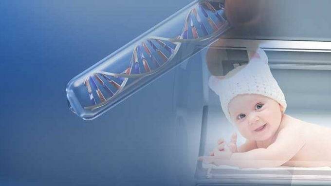 in vitro gametogenesis and the controversy of designer babies 2 - Il numero di spermatozoi da una generazione all’altra non è pari a quello di una generazione e in futuro potrebbe essere ereditato da spermatozoi artificiali.