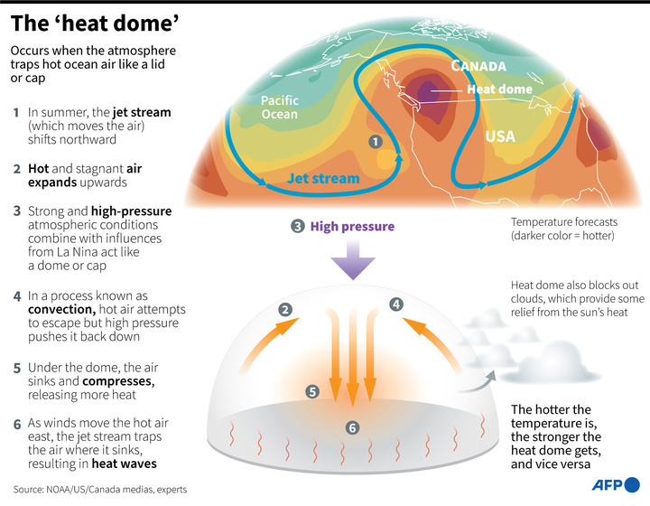 AFP3415469853579619120013464051504114747923-canada-us-weather-heatdome-climate-warming-1.jpeg!720