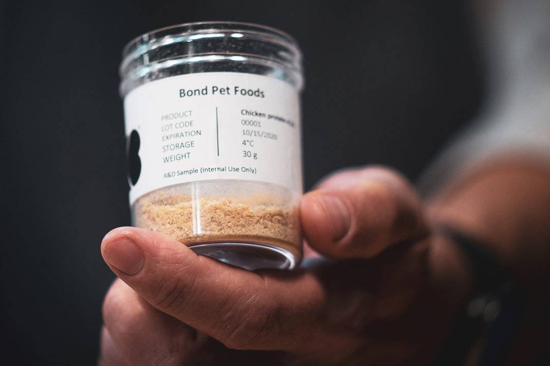 Bond Pet Foods - La prima carne di topo artificiale al mondo è qui, ma non è per gli umani