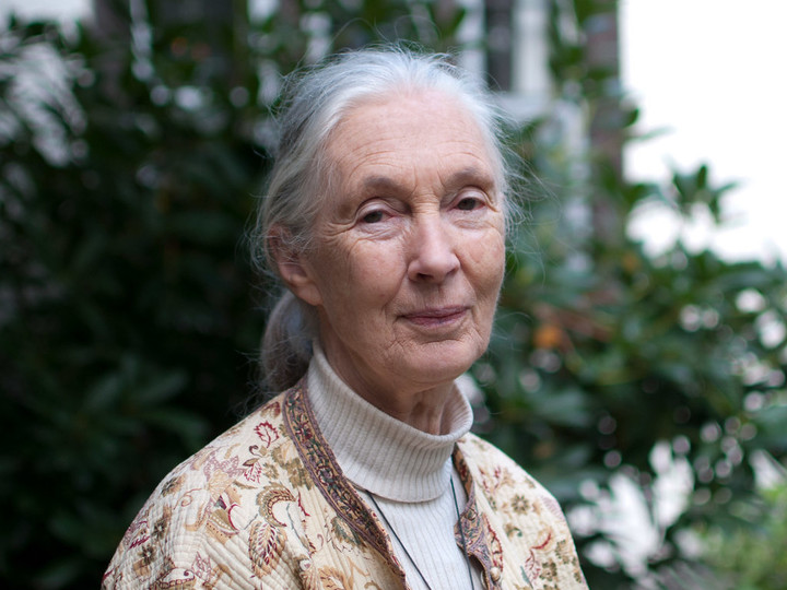 Jane-Goodall-To-Open-Asias-First-Conservation-Elementary-School-In-Taipei.jpeg!720