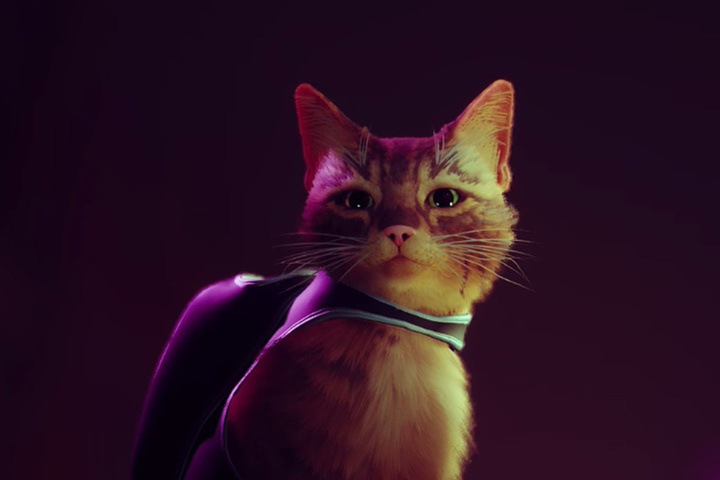 annapurna-interactive-stray-cat-simulator-gameplay-trailer-1.jpeg!720