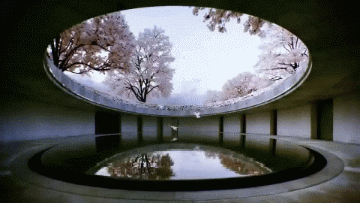 0 3 - Tadao Ando, ​​80 anni, ricostruisce la sua giovinezza in Cina