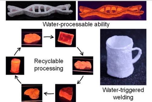 ACS - È arrivato il sostituto della plastica a base di sperma di salmone, che può essere riciclato dall’acqua