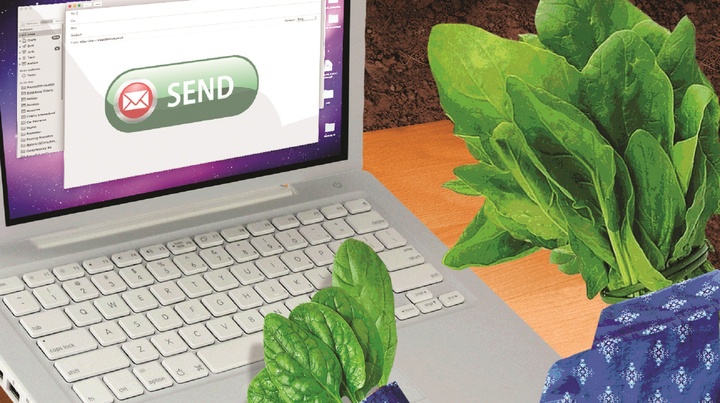 让菠菜变身「裁判」，植物也能给我们发「电子邮件」预警
