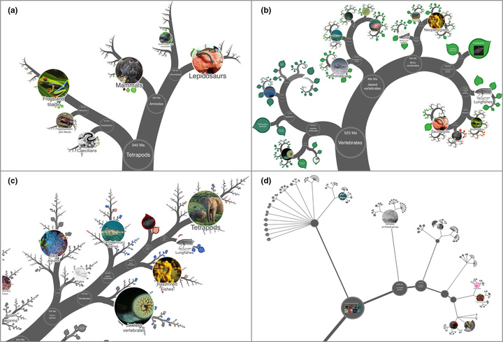 全球 223 万多个物种，都在这张史上最全「生物地图」