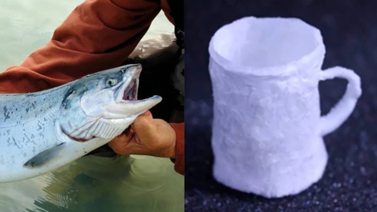vice2 - È arrivato il sostituto della plastica a base di sperma di salmone, che può essere riciclato dall’acqua