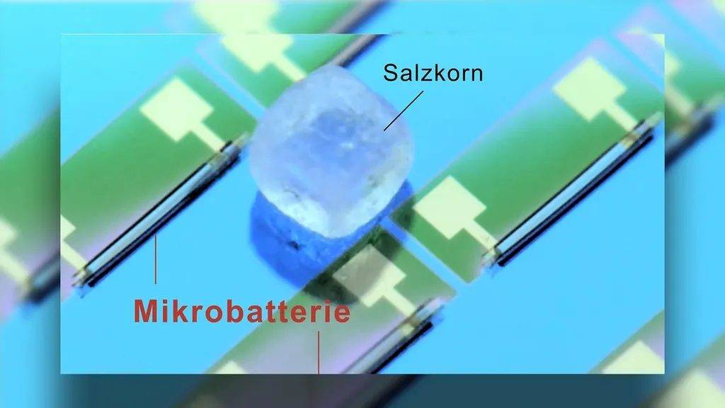 0222microbattery 2 - Utilizzando un rotolo svizzero, gli scienziati hanno sviluppato la batteria più piccola del mondo