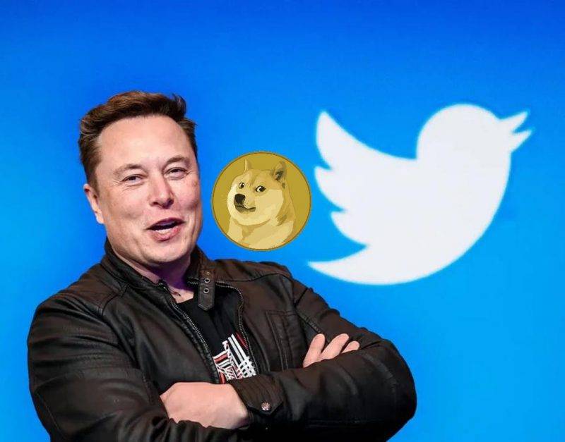 elon musk dogecoin twitter - Musk, che ha eliminato Twitter, ha afferrato il portavoce di Web3