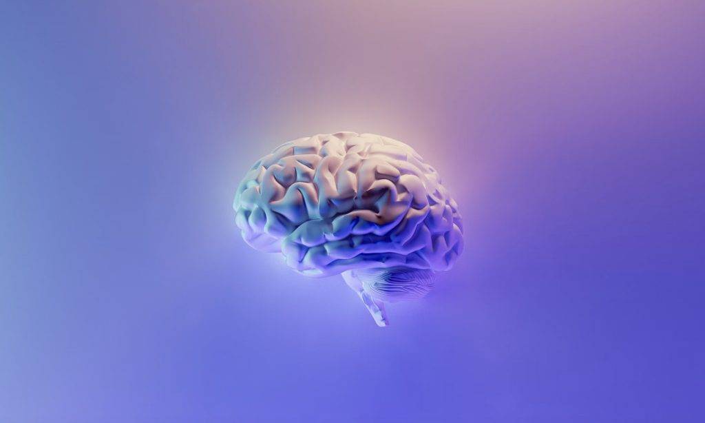 0506Neuralinktinnitus 1 - Utilizzando un’interfaccia cervello-computer per “curare” l’acufene, la visione di Musk di Neuralink funziona davvero?