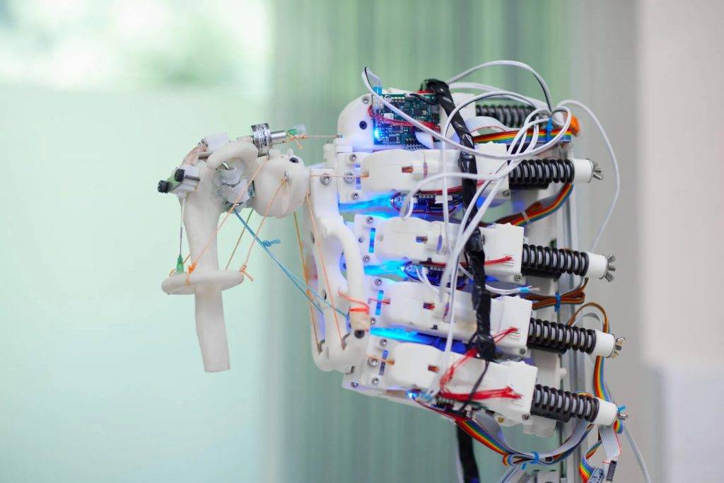 0527humanoidrobotscellsgrown 6 - Coltura in vitro del tessuto umano, è più conveniente utilizzare lo scheletro del robot