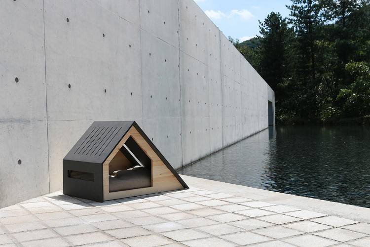111222 - Il primo premio per la cuccia più cool del mondo, anche l’architettura deve essere “orientata al cane”