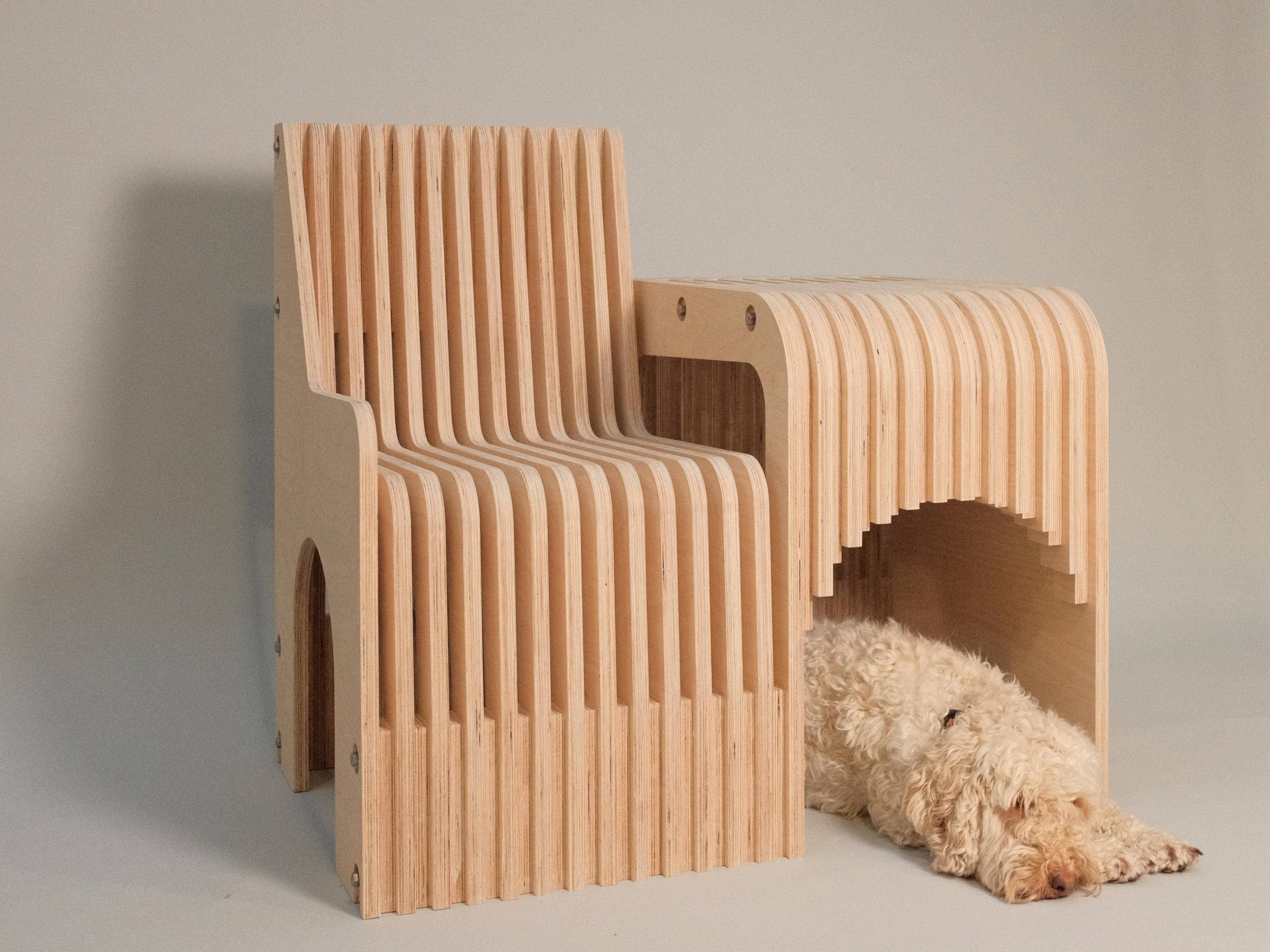 44 - Il primo premio per la cuccia più cool del mondo, anche l’architettura deve essere “orientata al cane”