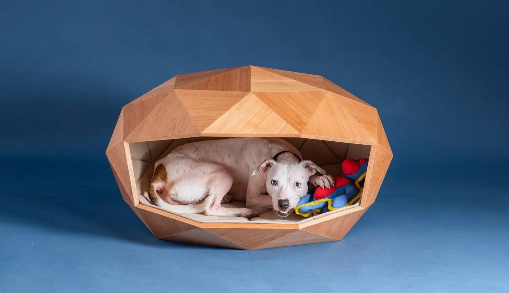 foster partners goodwoof barkitecture kennel dezeen 2364 col 0 - Il primo premio per la cuccia più cool del mondo, anche l’architettura deve essere “orientata al cane”