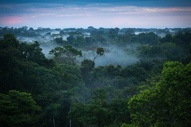 传说中的亚马逊「失落之城」，被激光雷达「发现」了