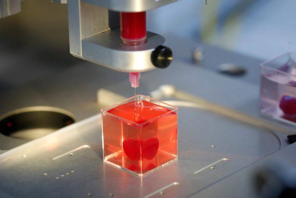 0609Harvard3Dprintheart 3 - L’Harvard Research Institute sviluppa la tecnologia del cuore stampato in 3D e i filamenti del cuore stampato possono crescere da soli