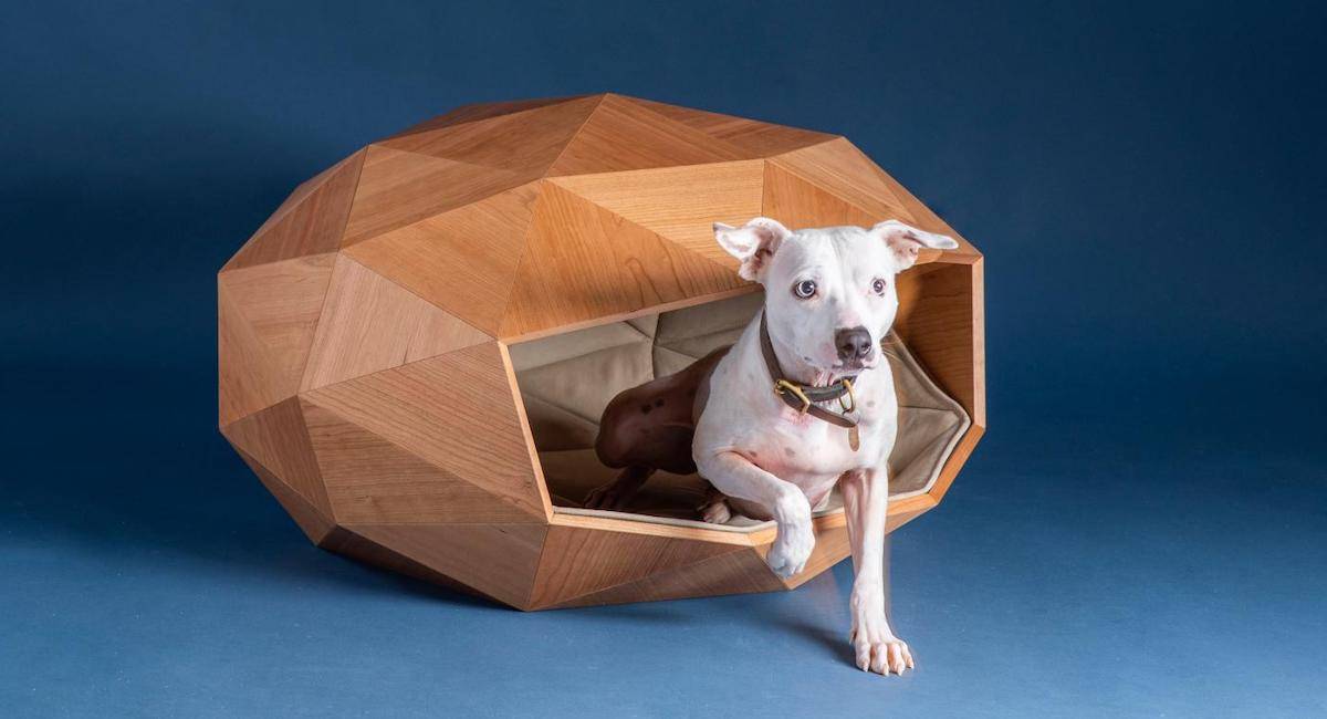 domus domehome 2 - Il primo premio per la cuccia più cool del mondo, anche l’architettura deve essere “orientata al cane”