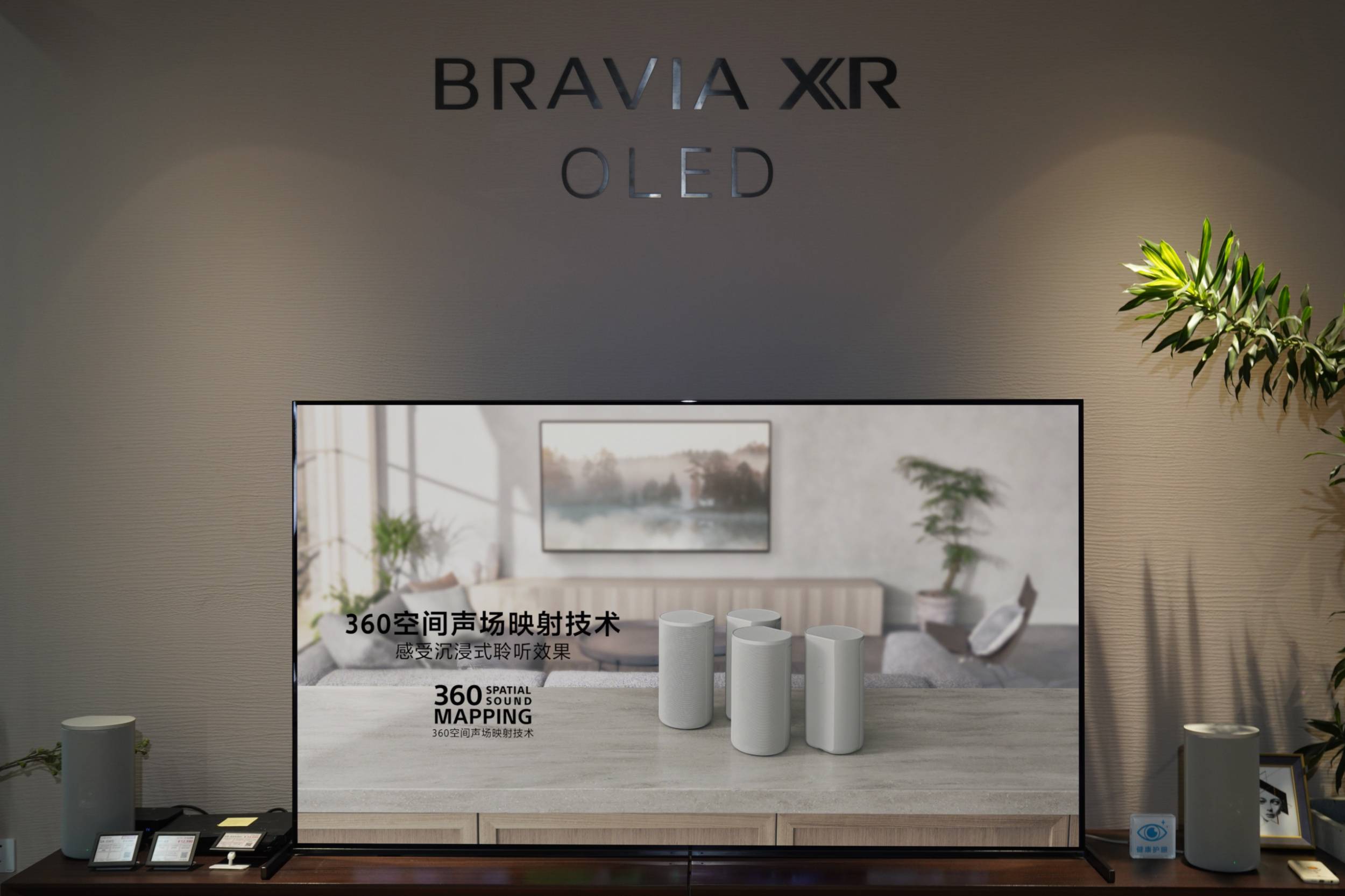 dfs - Esperienza del nuovo prodotto Sony TV 2022: il pannello TV QD-OLED è molto profumato e costoso
