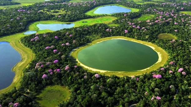 img 630e044022d0b - La fiducia dell’ecologia aperta di OPPO Pantanal è la filosofia di partnership che persiste da più di dieci anni
