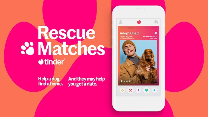 tinder-match-dogs-1663739021.jpg!720