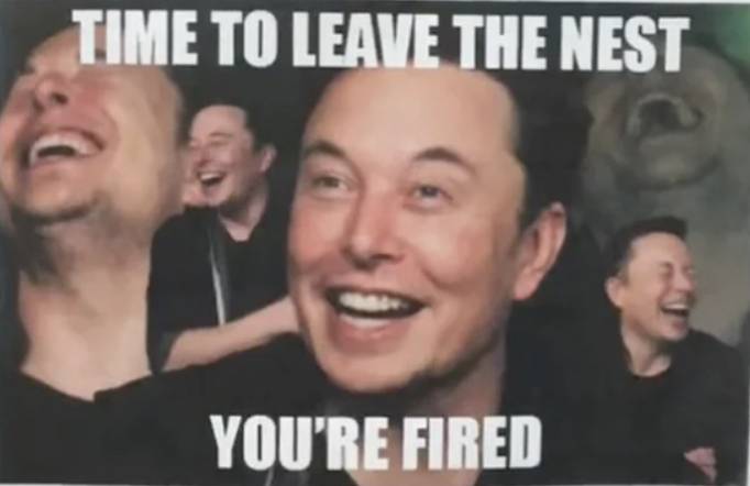WechatIMG5522 - I “licenziamenti alla scatola cieca” di Musk hanno spazzato via Twitter e essere licenziato non è stato il più oltraggioso