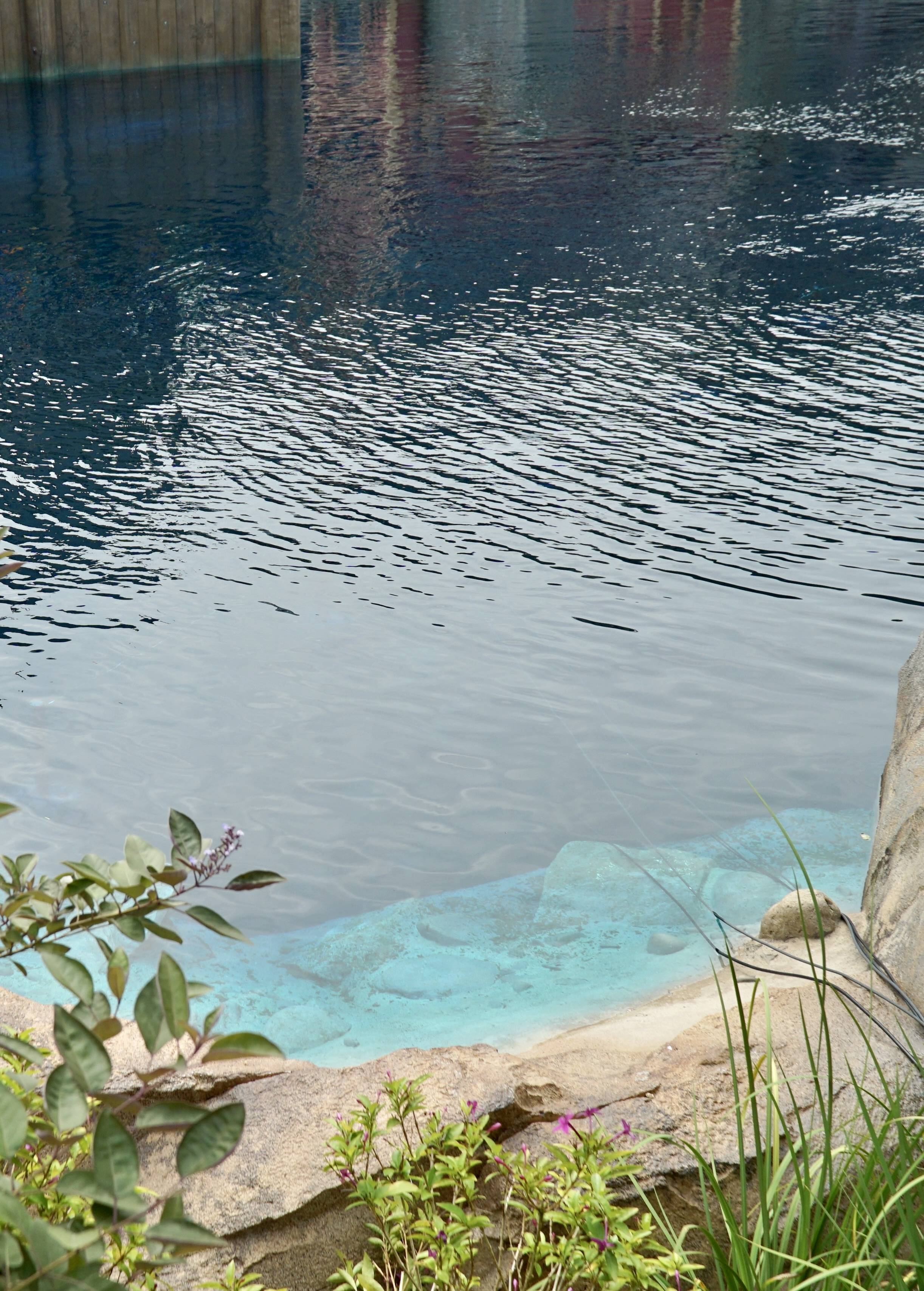 Der Bau dauerte sieben Jahre, aber es ist das größte Osterei in Disneys „Die Eiskönigin“-Park Ein Gespräch mit Imagineers - DSC00195 2 2