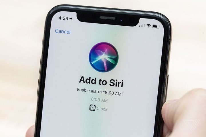 siri8