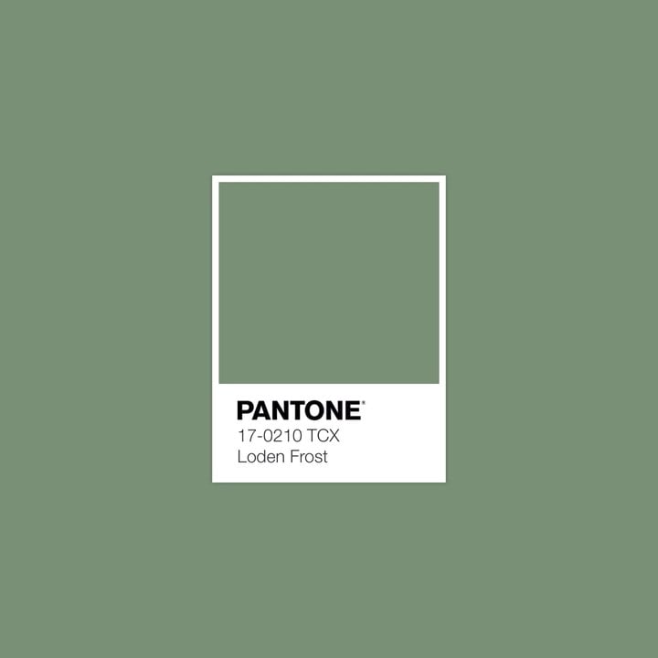 PANTONE 17 0210 TCX Loden Frost Color