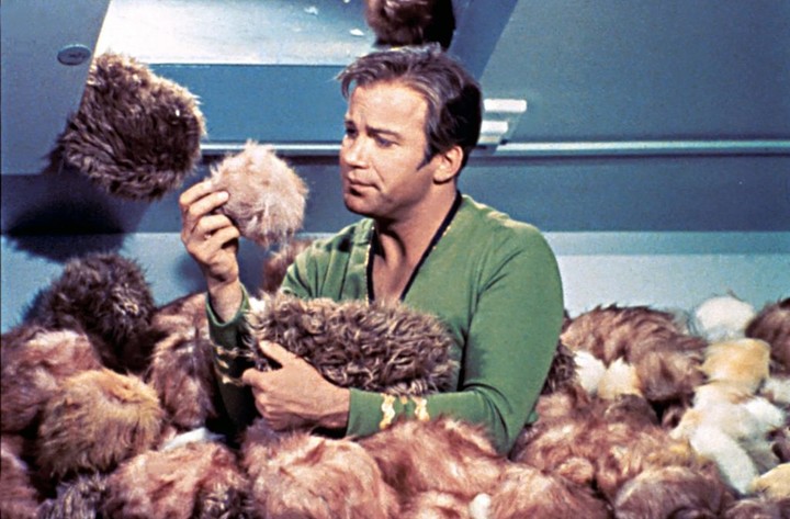 tribbles