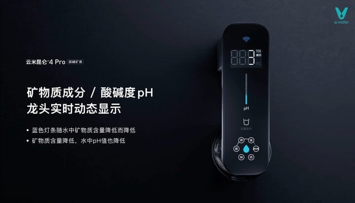 YM 6