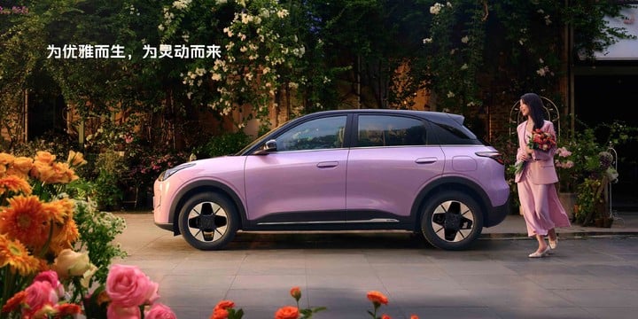 Xnip2025 12 19 16 24 59